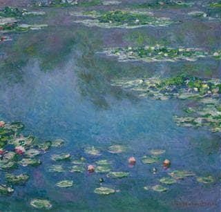 1933.1157 - Water Lilies